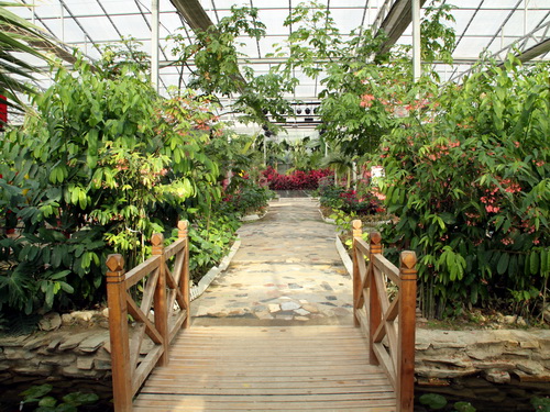 大兴区自驾游推荐景点,北京大兴区公园景点