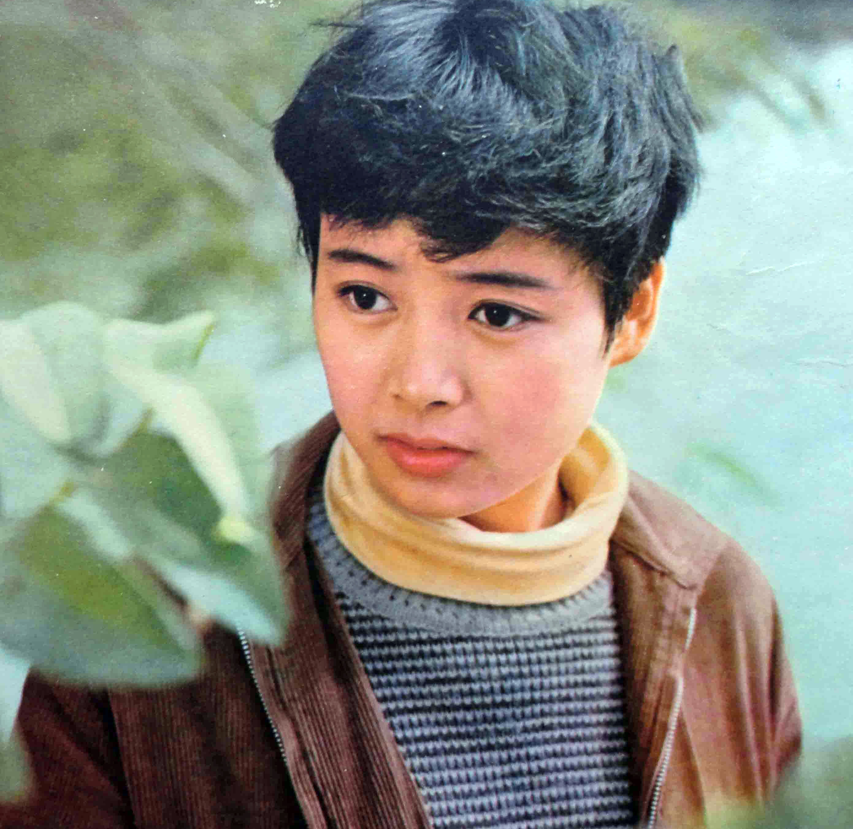 最佳女演员金鸡奖颁奖词,刘晓庆奚美娟金鸡影后