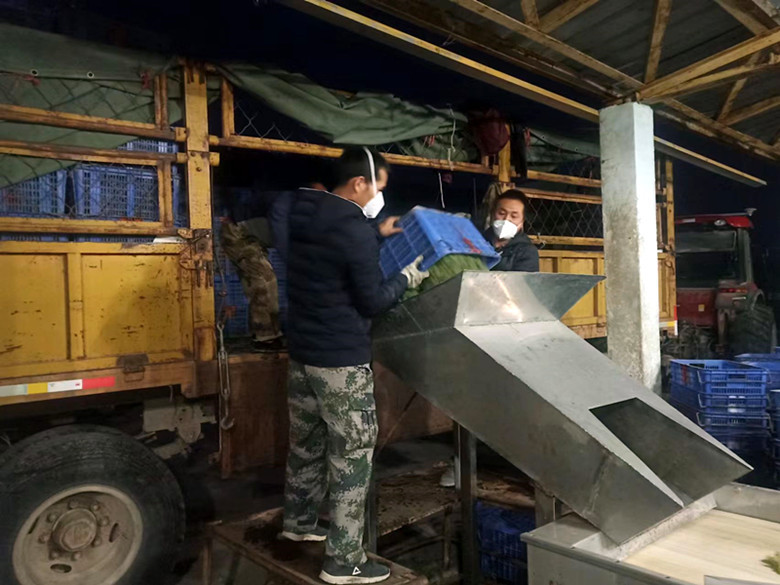 鍠滆繋浜屽崄澶у杩涙柊寰佺▼鏂扮枂,鏂扮枂鍠滆繋浜屽崄澶у杩涙柊寰佺▼