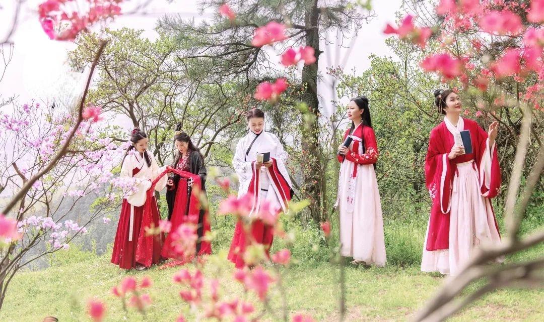 有一种春光叫杜鹃花,春天漫山遍野的杜鹃花开