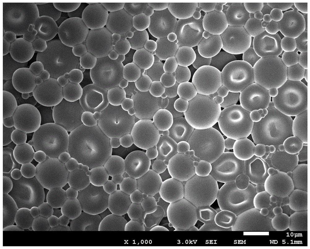 纤维素纳米晶体长宽比对所有CNC薄膜性能的影响被膜和木材CNC