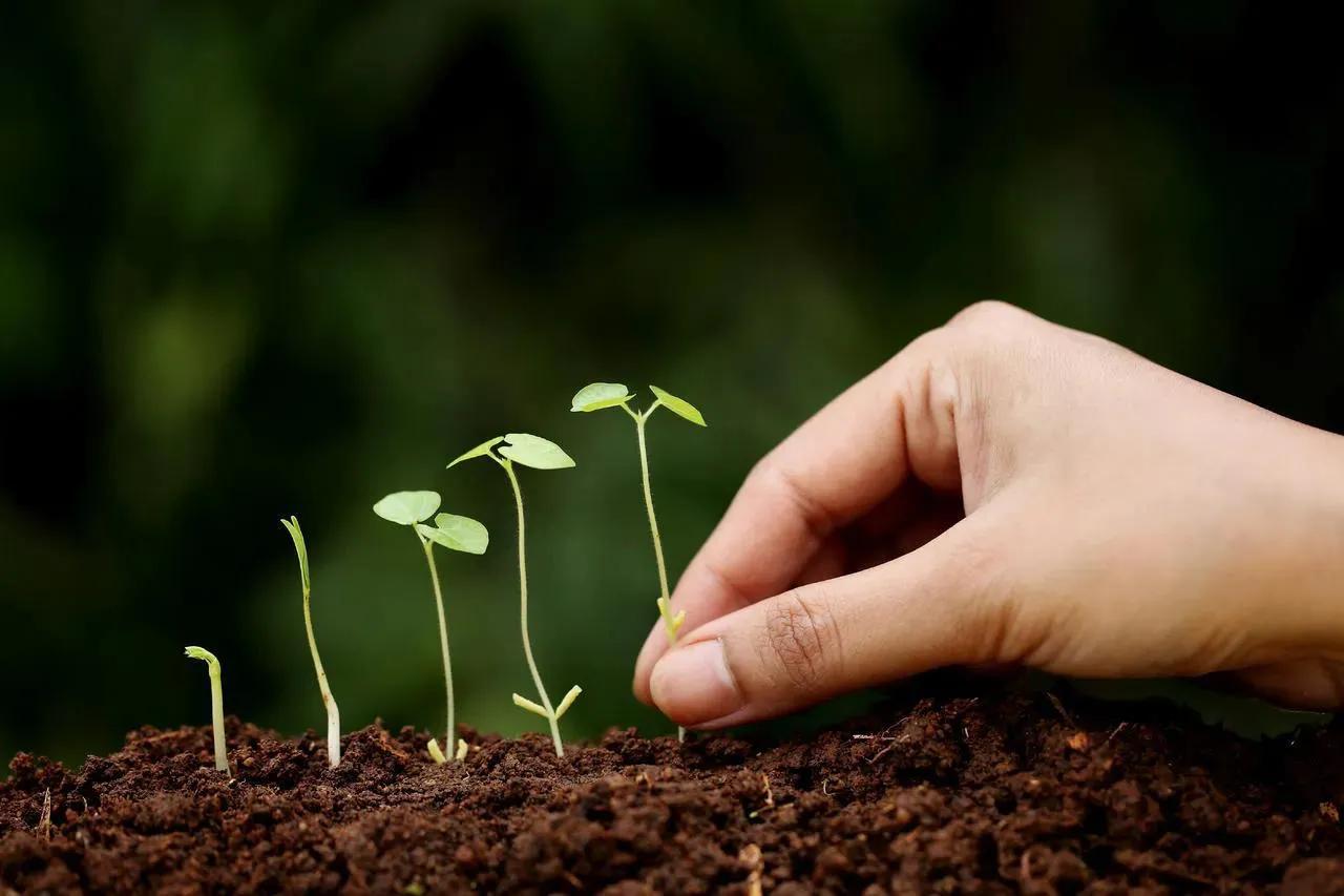 阅读时光青春,阅读时光书籍