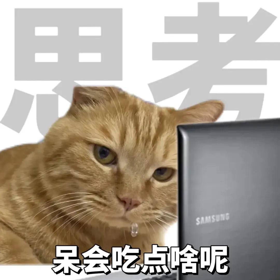 睡醒要上班下班要睡觉表情包,上班下班两副面孔表情包