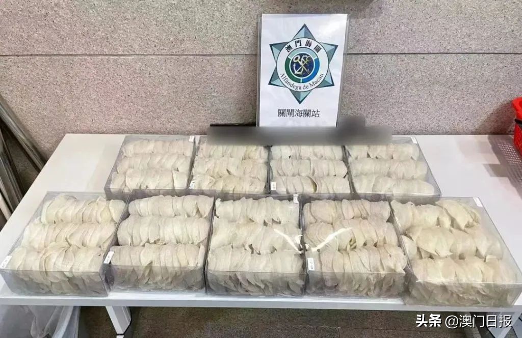 海关新预检管理系统,海关新系统的操作方法