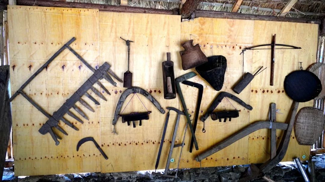 绿春乡村振兴,绿春乡村振兴工作