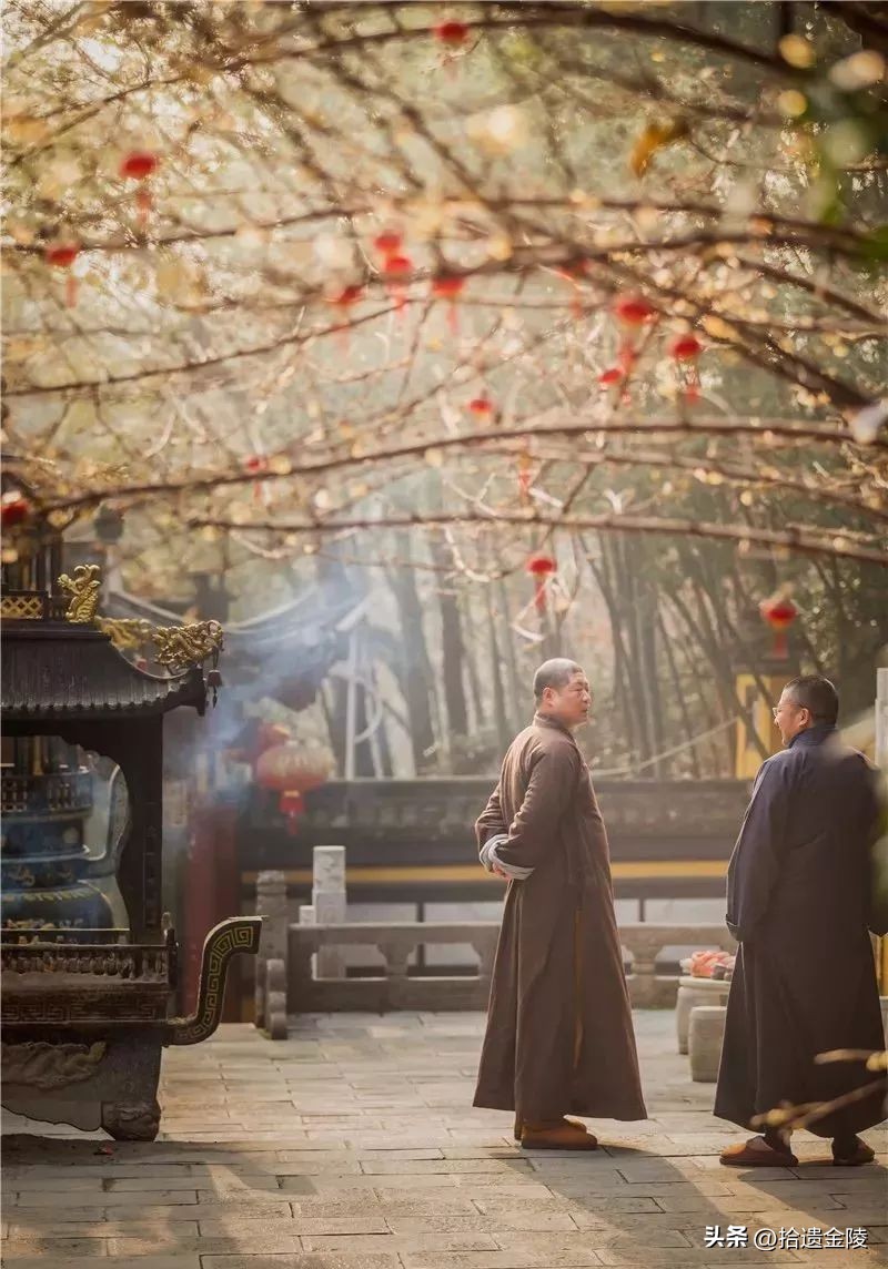 南京看梅花的地方,南京梅花里房价