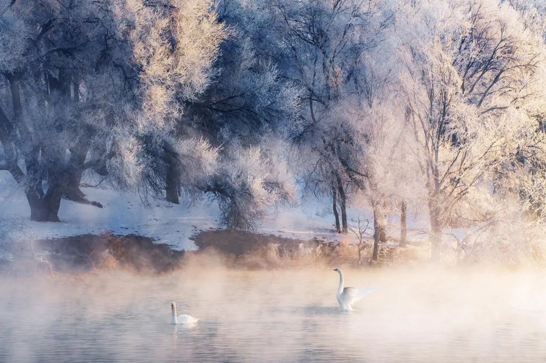 官方发声：让鞭炮声重新响起！必去的​14条春节长线，过个畅快新年