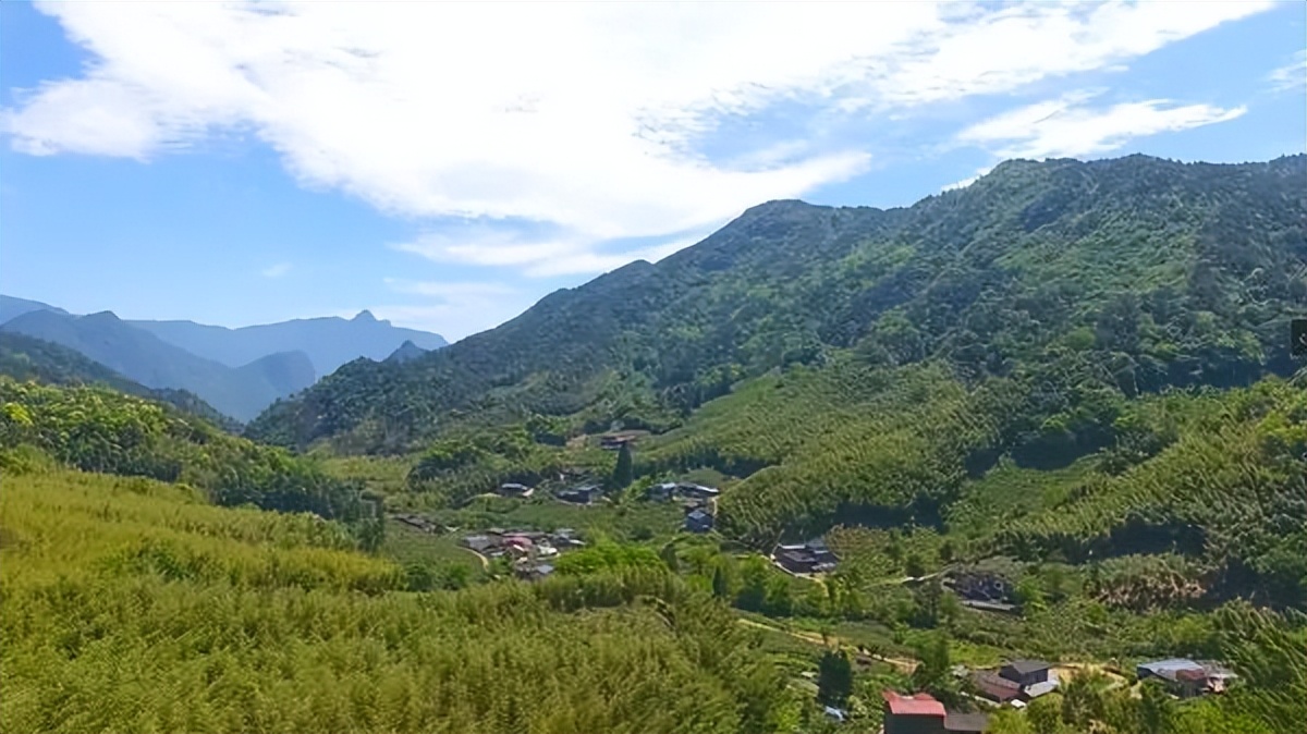 卖茶的文案精致高级感,卖茶爆款打动人心文案