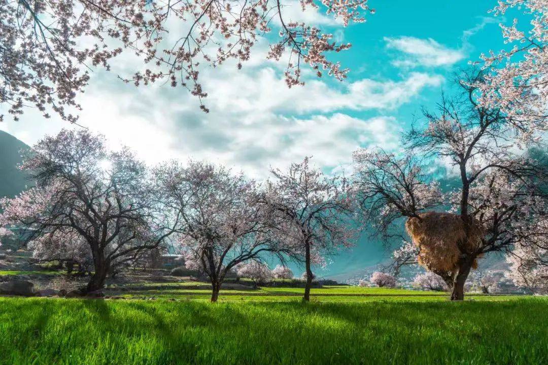 雪山下的梦幻球场爆红网络！*藏西**的这个小城，值得被所有人看到