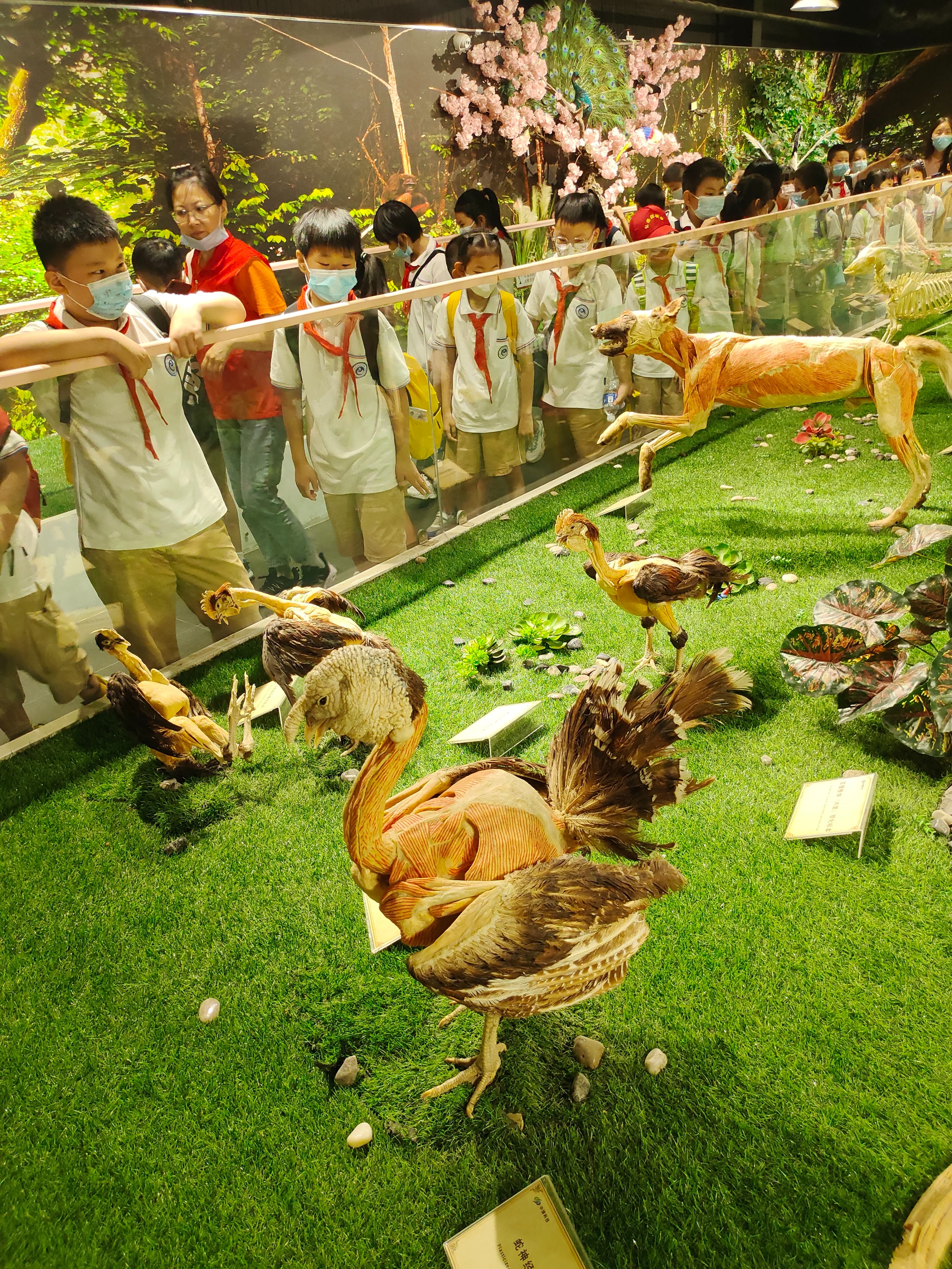 郑州冬季周末遛娃好去处,郑州金沙湖高尔夫观邸遛娃