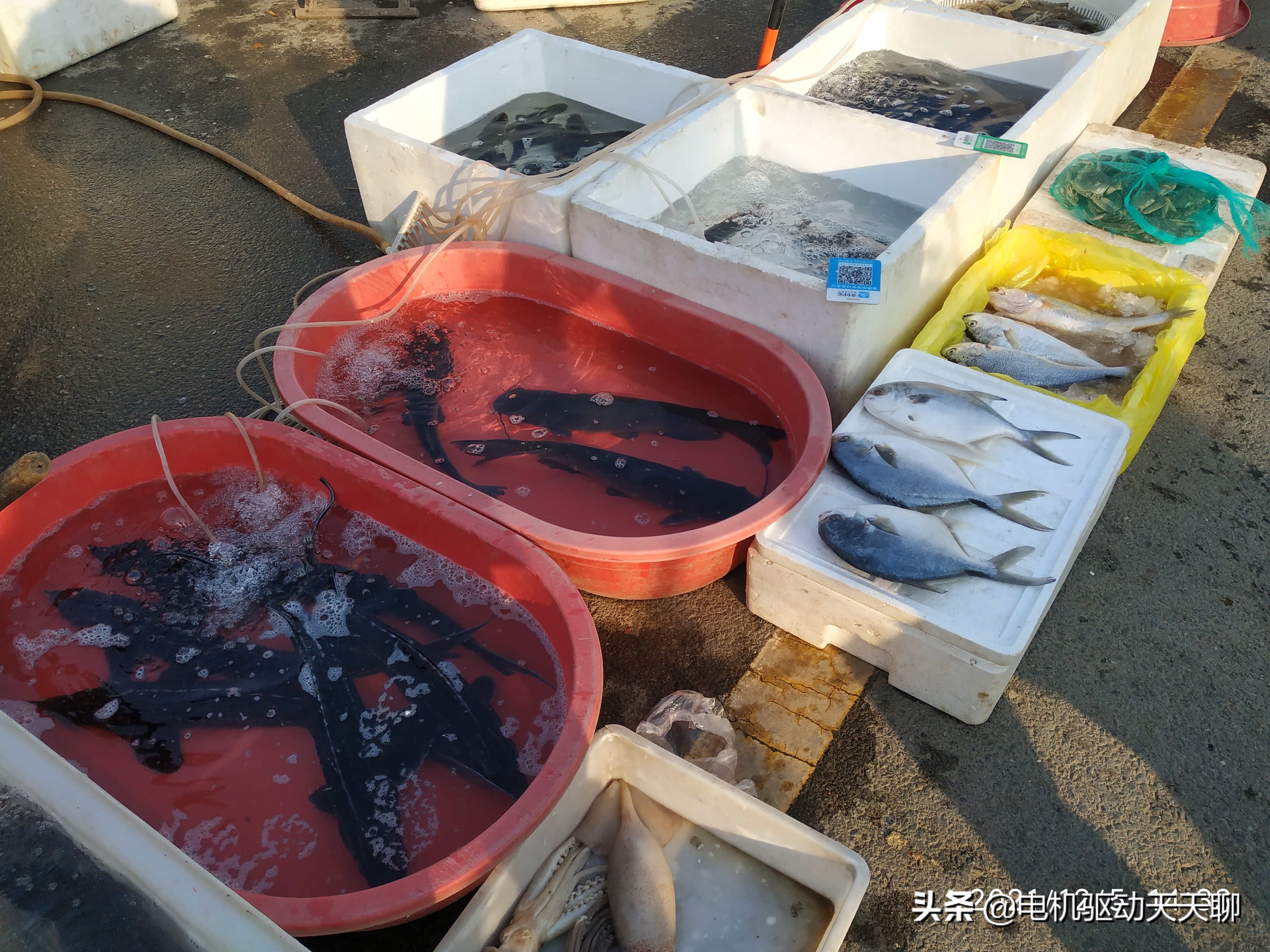 窦店田家园大集什么时间开放,房山窦店田家园大集现在开了吗