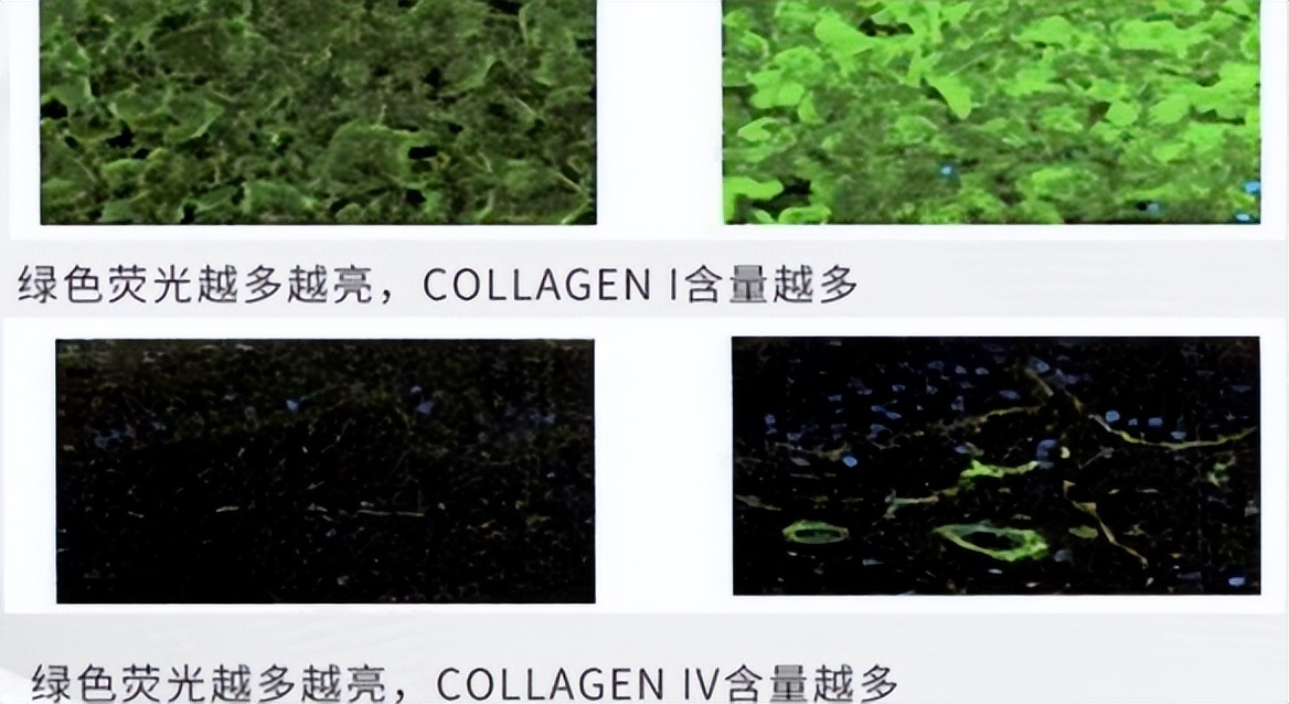 大厂抗氧新卷王，7大顶流成分王炸出道！