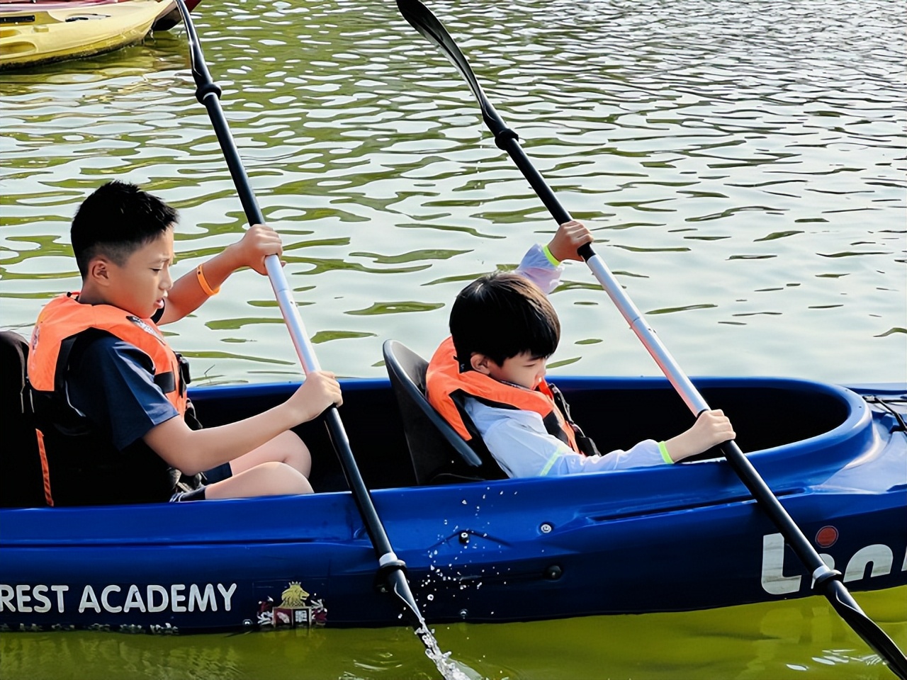 长沙一米森林学校怎么样,长沙彼一米森林学校什么档次