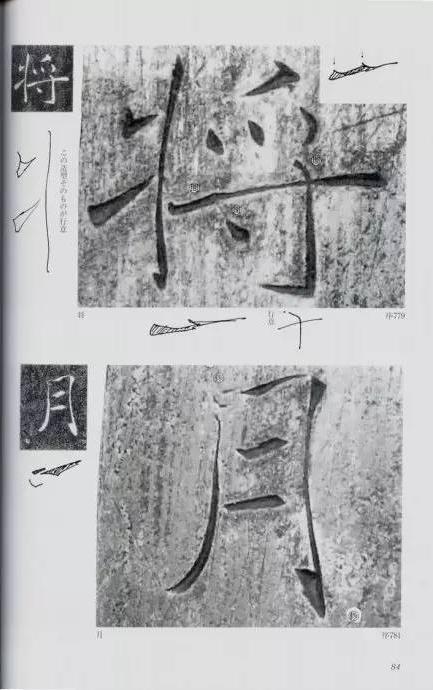 宸ョ瑪鐢绘潹鏅箟鐢诲唽,鏉滈箖鏉ㄦ櫘涔夊畬鏁寸増