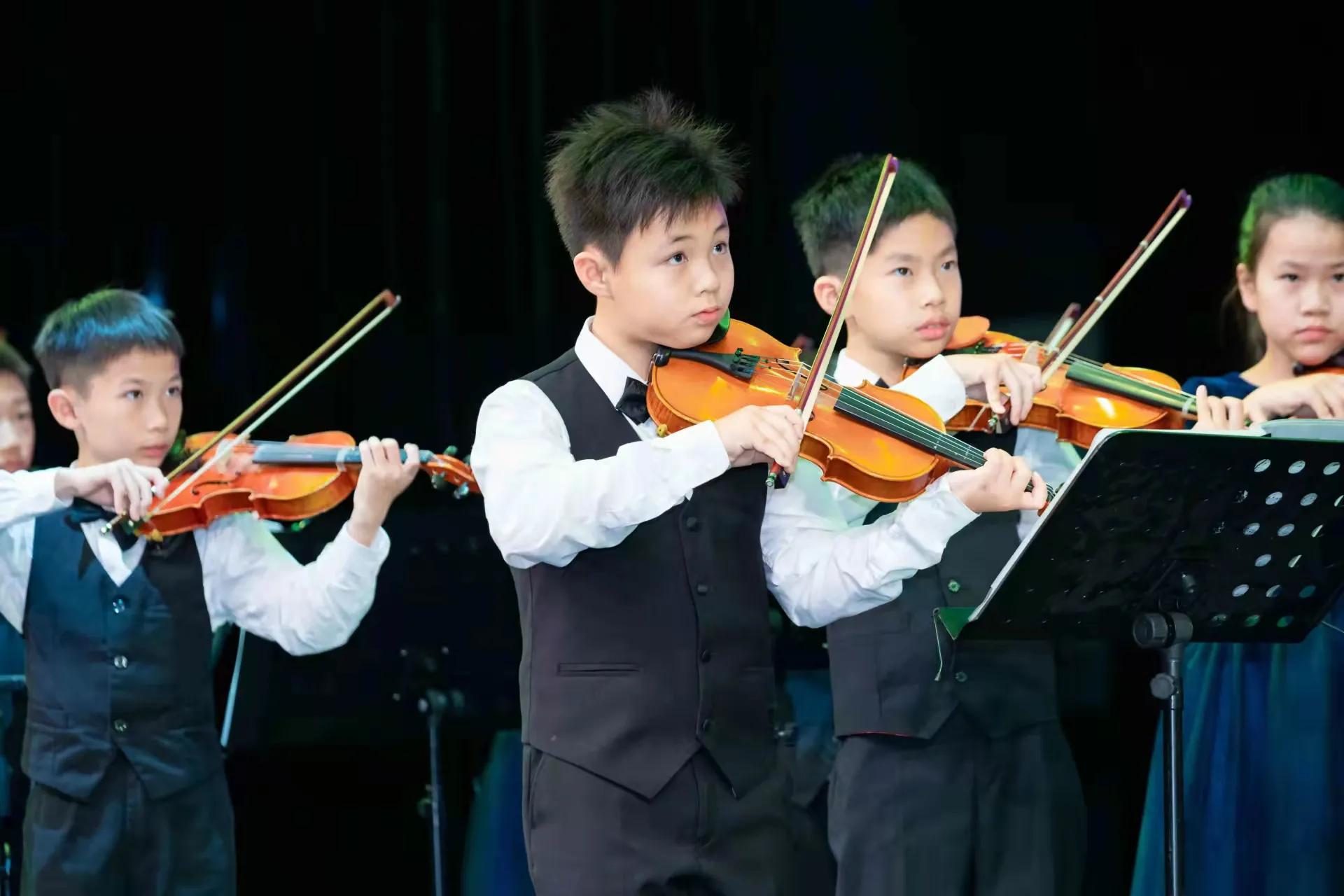 大鹏新区五好单位建设,大鹏新区教育和卫生健康局