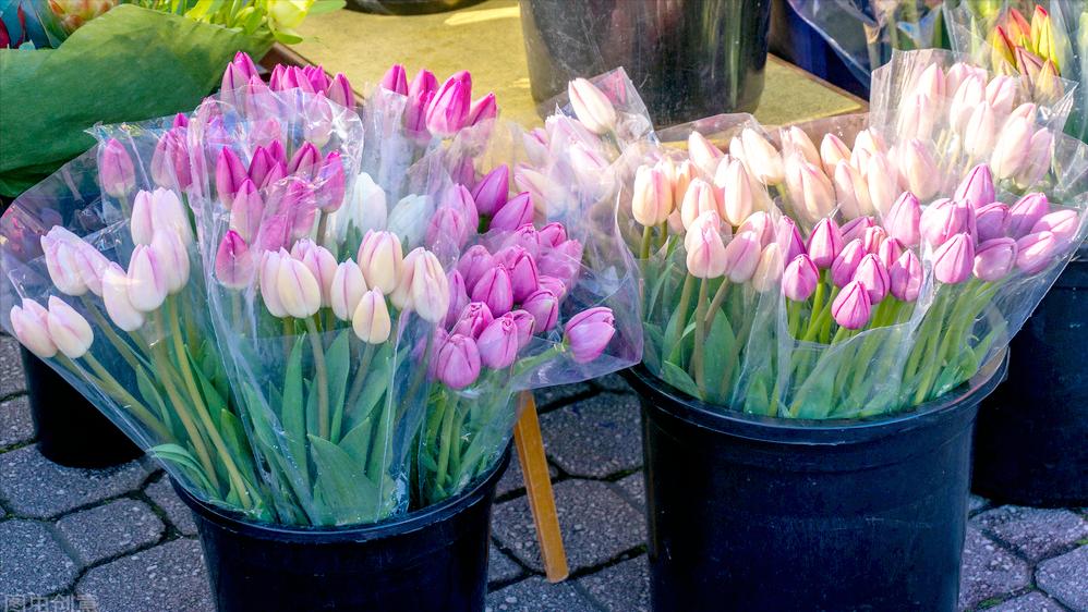 摆地摊商机致富经,摆地摊卖几十种干货摆摊技巧