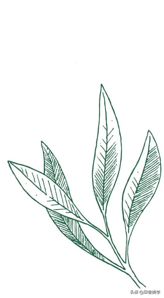 经典的塑料爱情句子图片,经典的爱情故事