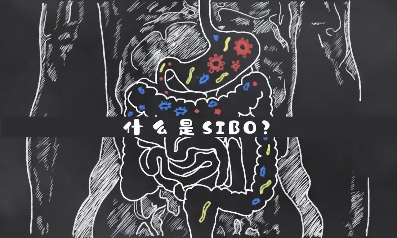 小肠细菌过度生长和心理有关系,小肠细菌过度生长阳性是怎么回事