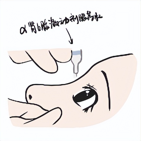 美丽守卫战,美丽保卫战