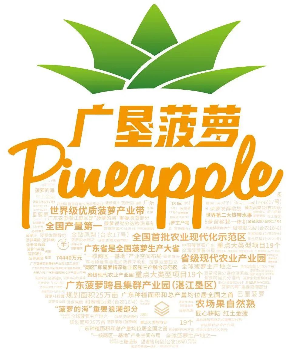 遇上凤梨，了解一个外表粗糙、内心甜美的“热带水果姑娘”！