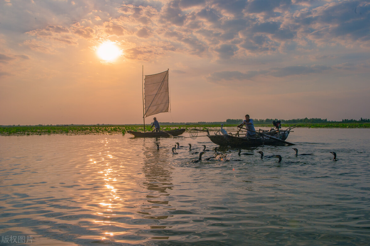 新加坡的国土是否还能扩大,新加坡国土能增加吗