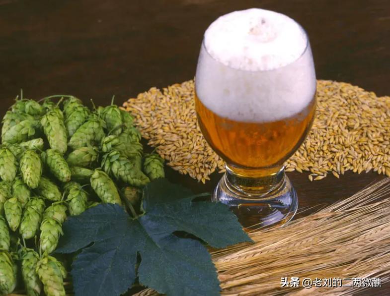 中国哪些啤酒被外资收购,国产啤酒都被国际巨头收购了吗