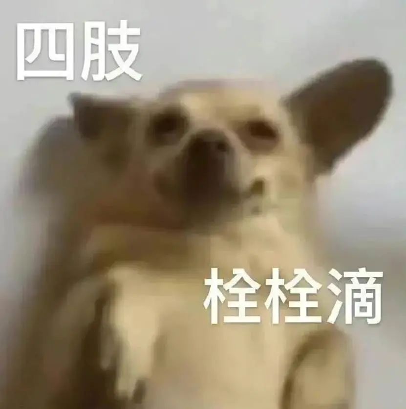 七匹狼腰带大人,七匹狼新款潮流腰带