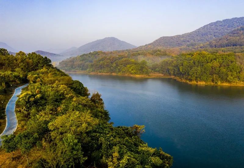 南京景色视频,南京景色作文