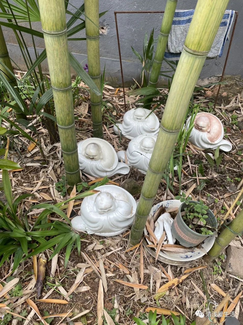 景德镇雕塑瓷厂一条街图片,景德镇雕塑瓷厂集市