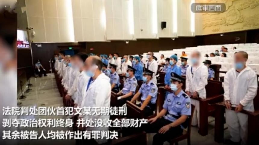 肉偿、捐卵：那些被“裸贷”盯上的年轻女孩，她们的悲剧我不敢看