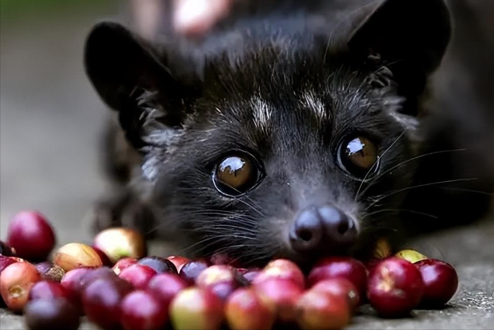 穷人世界你不懂,富人的世界你不懂