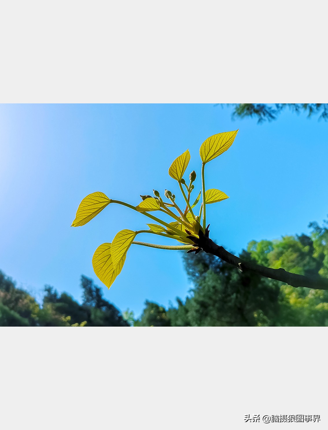 手机拍照不清晰怎么才能拍的好看,vivo手机拍照模糊怎样才能变清晰