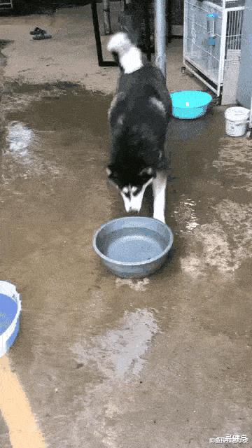 上火的笑话幽默,上火的幽默笑话