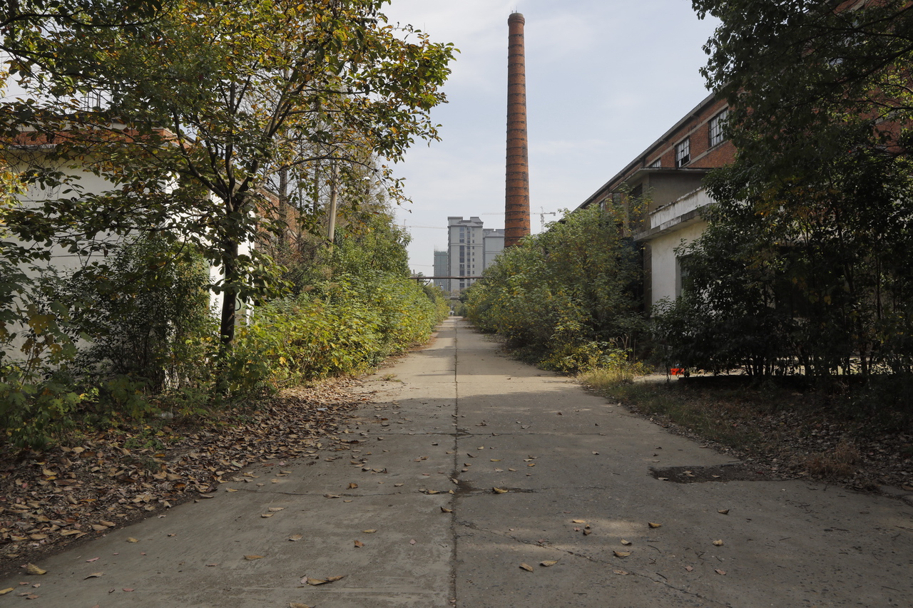 襄阳三线厂名单,襄阳汽车轴承股份有限公司网站