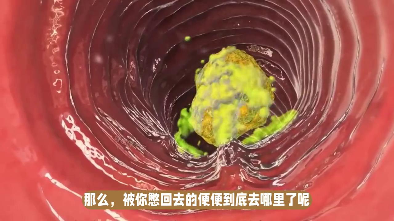 憋屎容易便秘,憋大便憋小便是什么后果