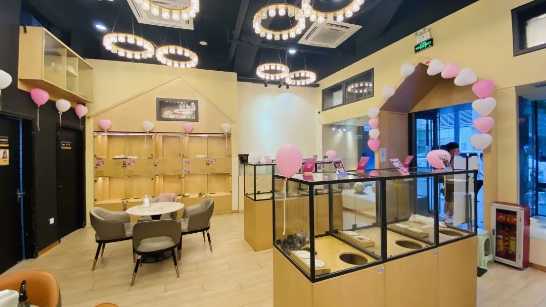 袖虎宠物店 (袖虎猫馆开店)