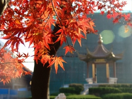 南京航空航天大学第几批,南京航空航天大学自主研制的卫星