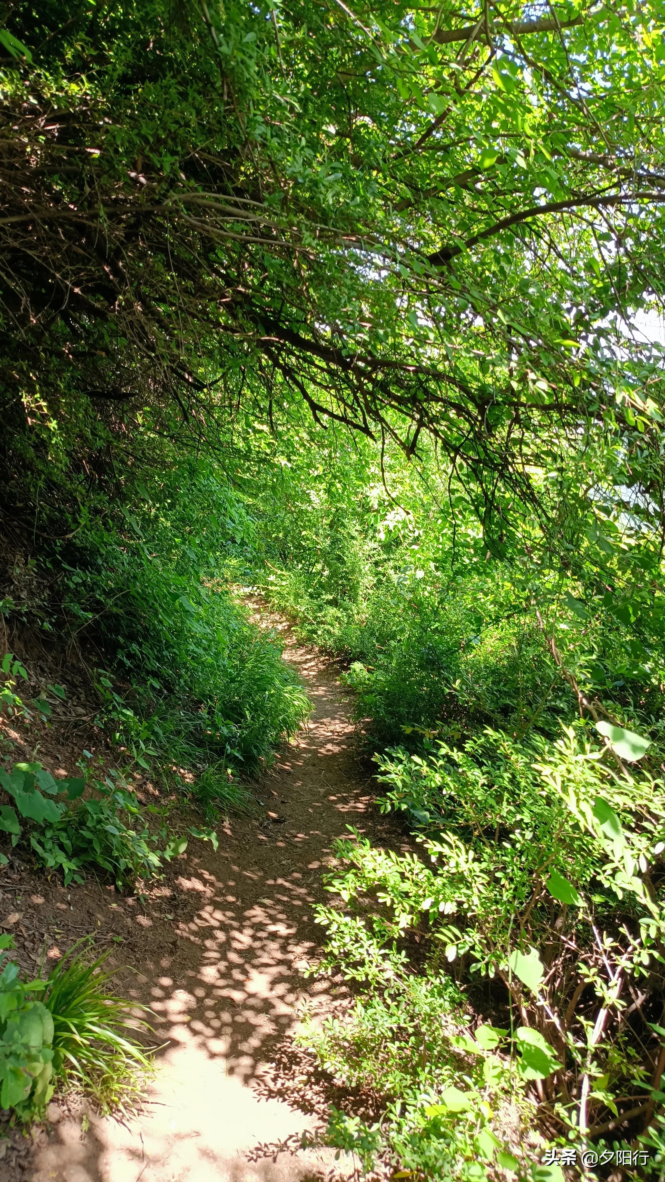 最美爬山公路,最美登山路
