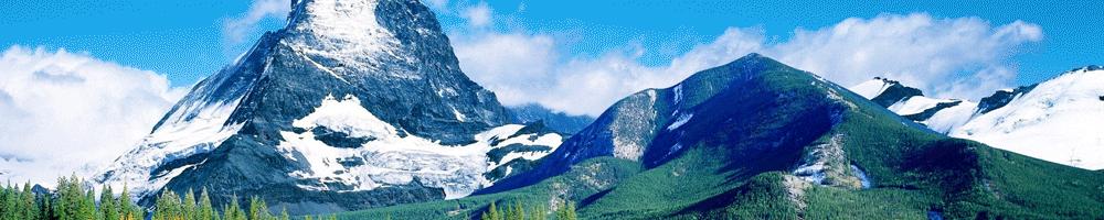 网购的产品鱼龙混杂,网购十大假货排行榜