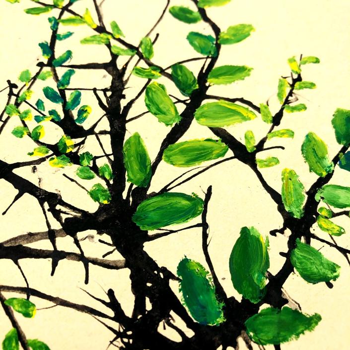 迎春花歌曲,迎春花是什么颜色的