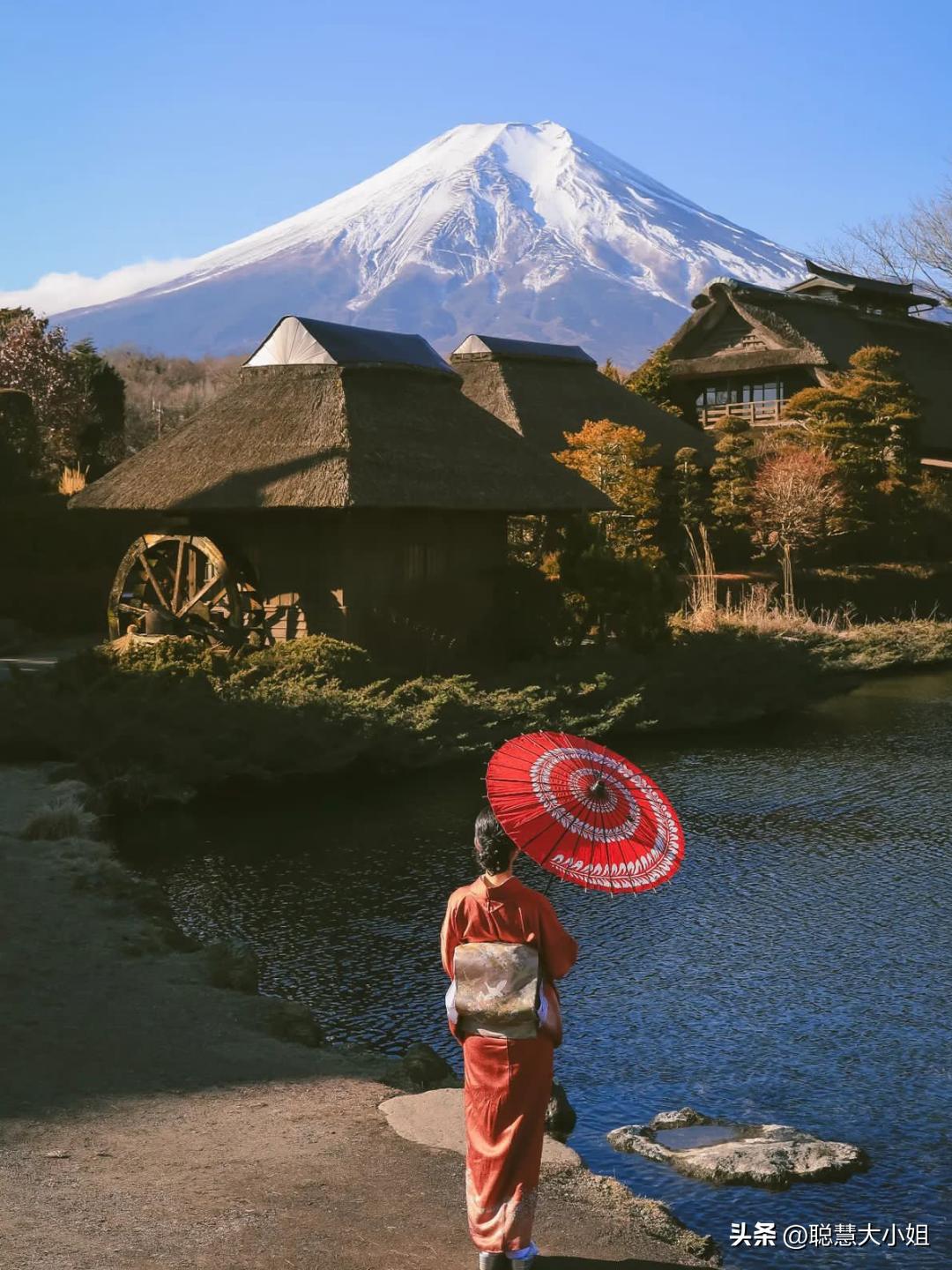 日本樱花花海浪漫之旅,日本旅游看樱花之旅攻略