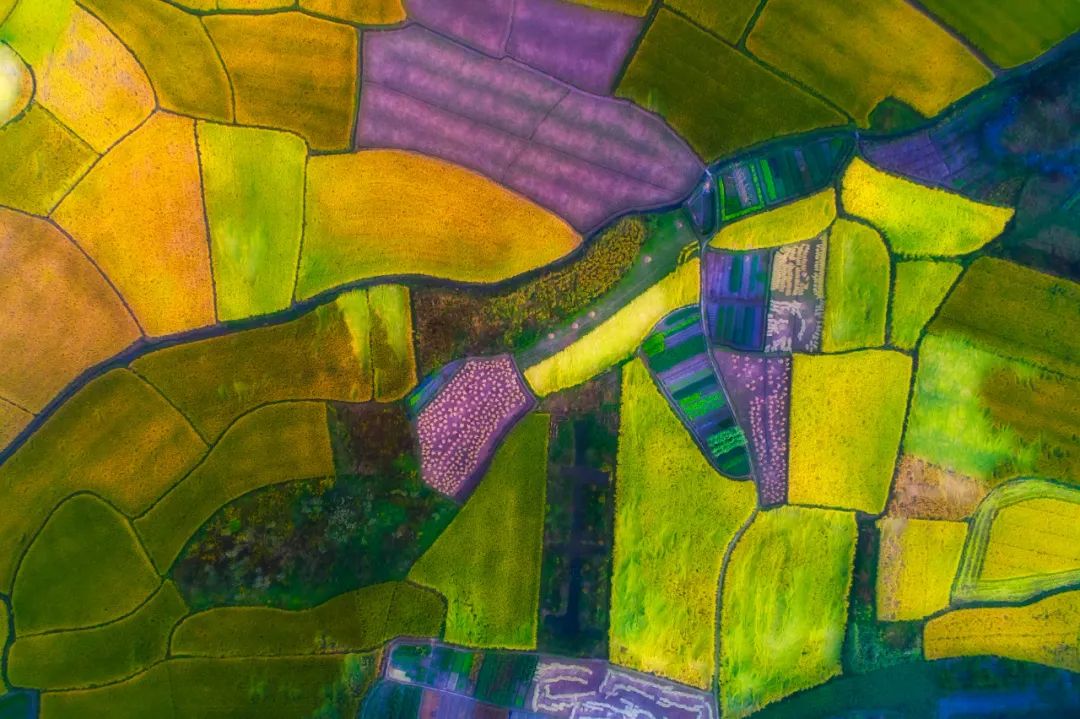 摄影师顾光辉：把爱好变成技能，摄影需要一种执着