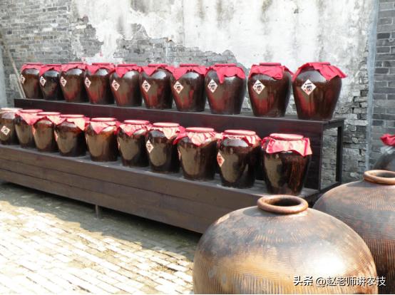 种高粱的利润有多少,高粱酿酒100斤高粱出多少酒