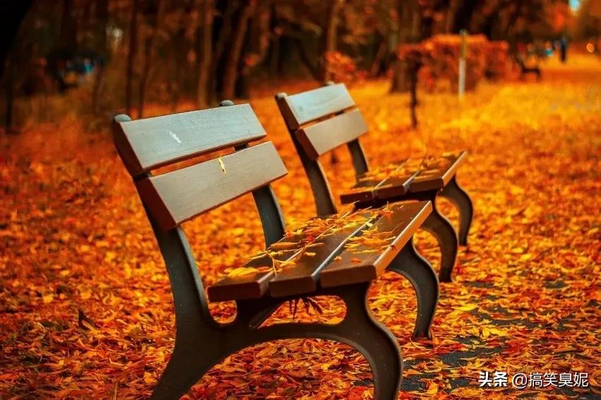 做人太较真就没法玩了,做人太较真你就输了