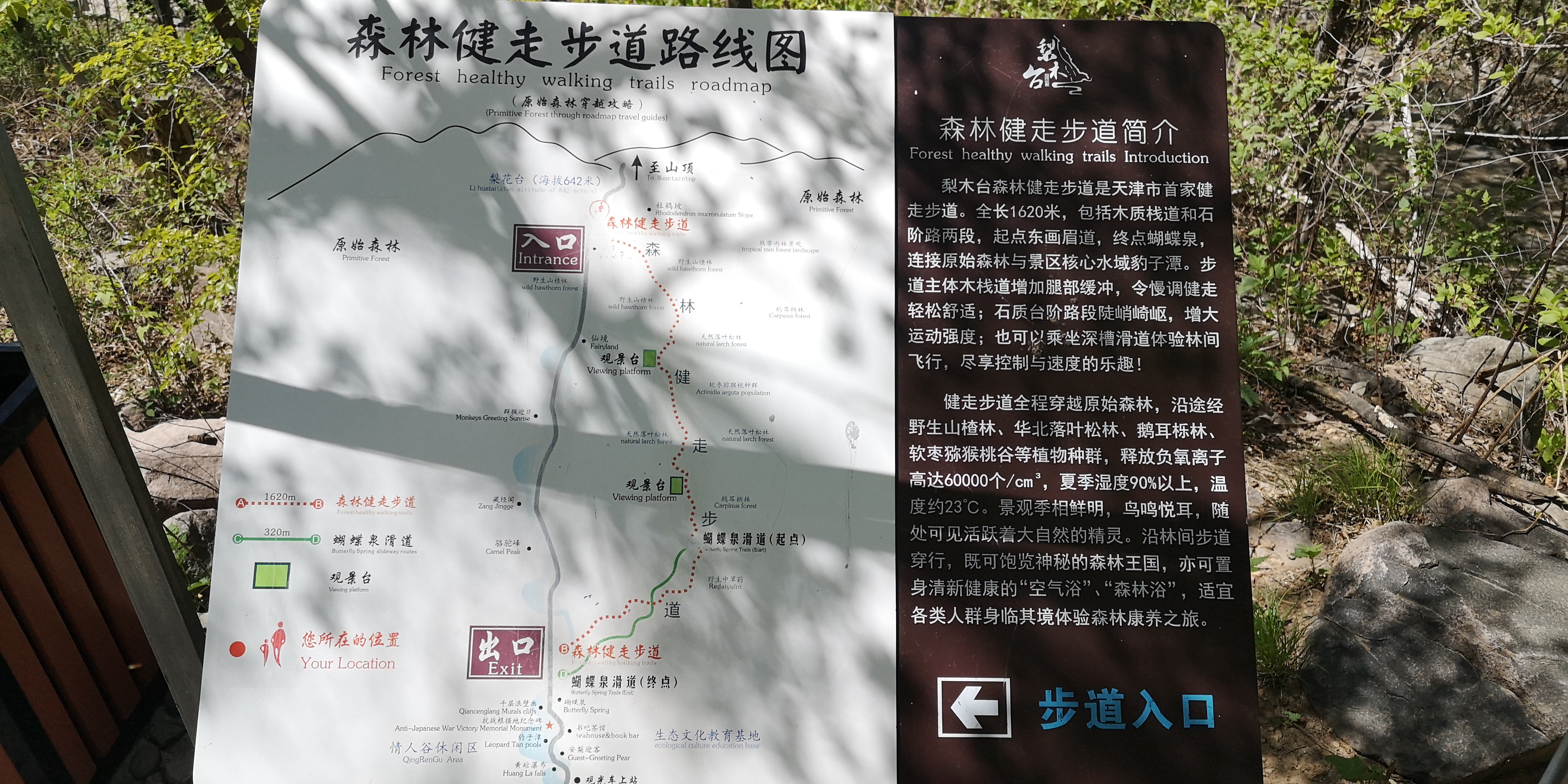 天津梨木台景区值得夏天去的地方,天津蓟县梨木台风景区路线