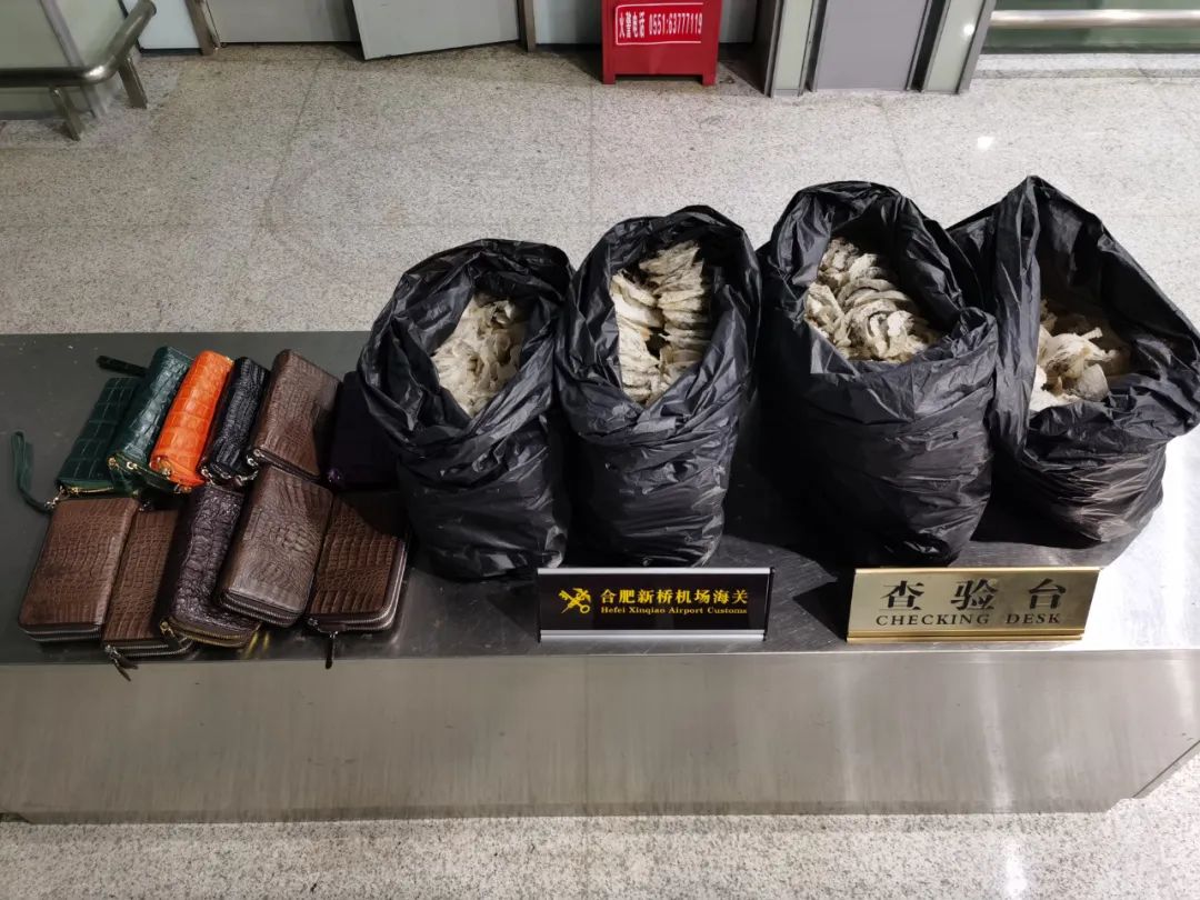 查获违规携带燕窝11.6公斤