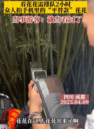 盼着五一旅游的人，全被这热搜吓出了“出行恐惧症”