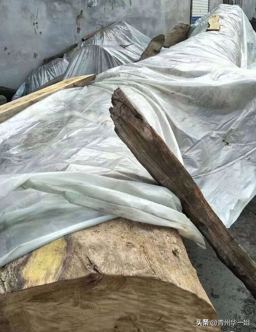 顶级金丝楠乌木有收藏价值吗,金丝楠阴沉木乌木小叶桢楠碳化木