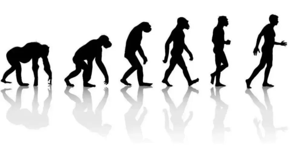 多灾多难，我们的未来还会好吗？