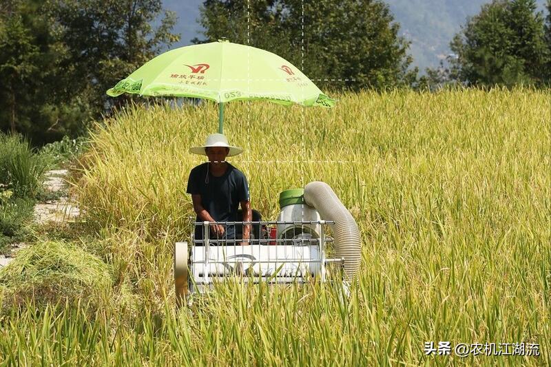 水稻收割机视频和介绍,大型水稻收割机的技术参数